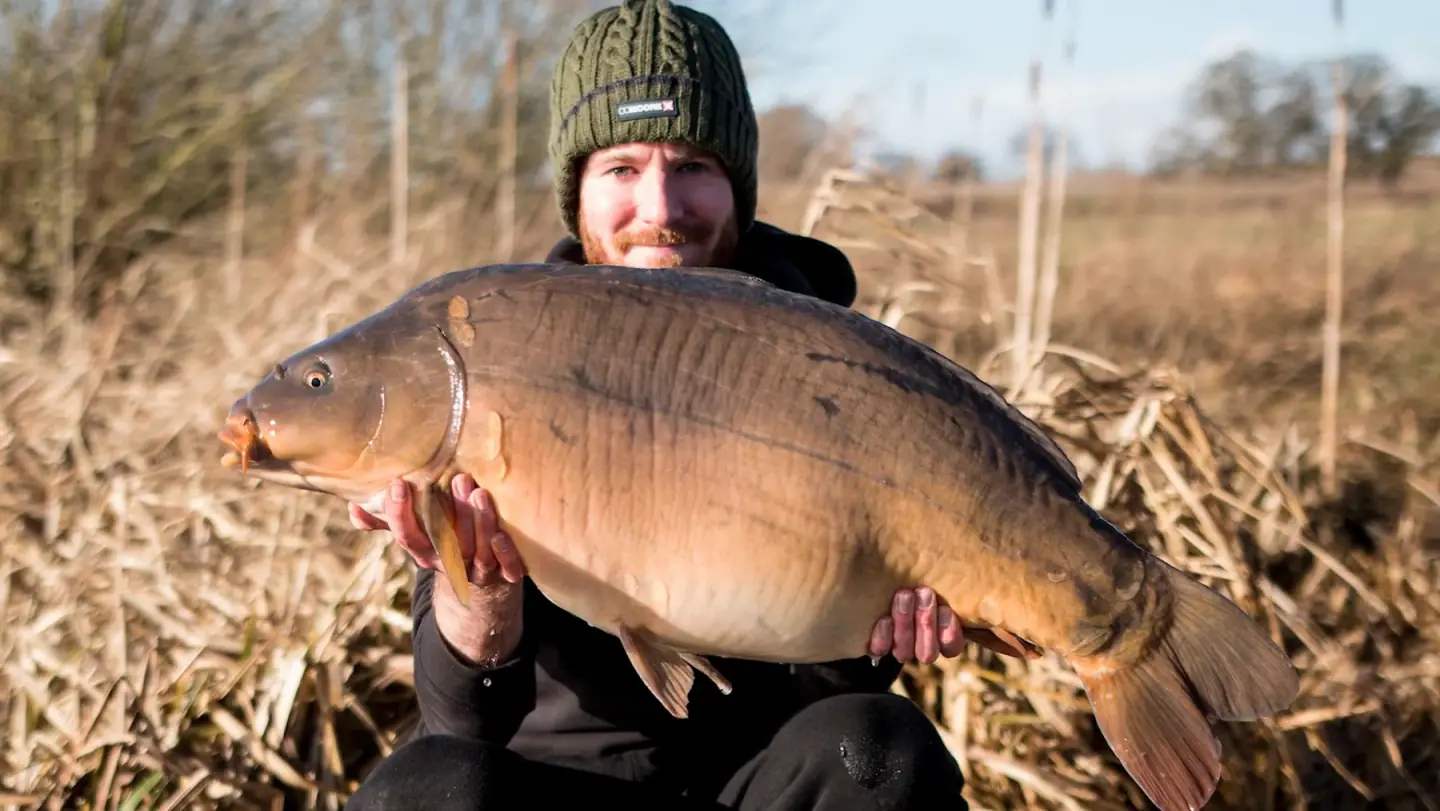 An angler in a KUMU beanie holding a mirror carp in the reeds, from KUMU's film Golden Days