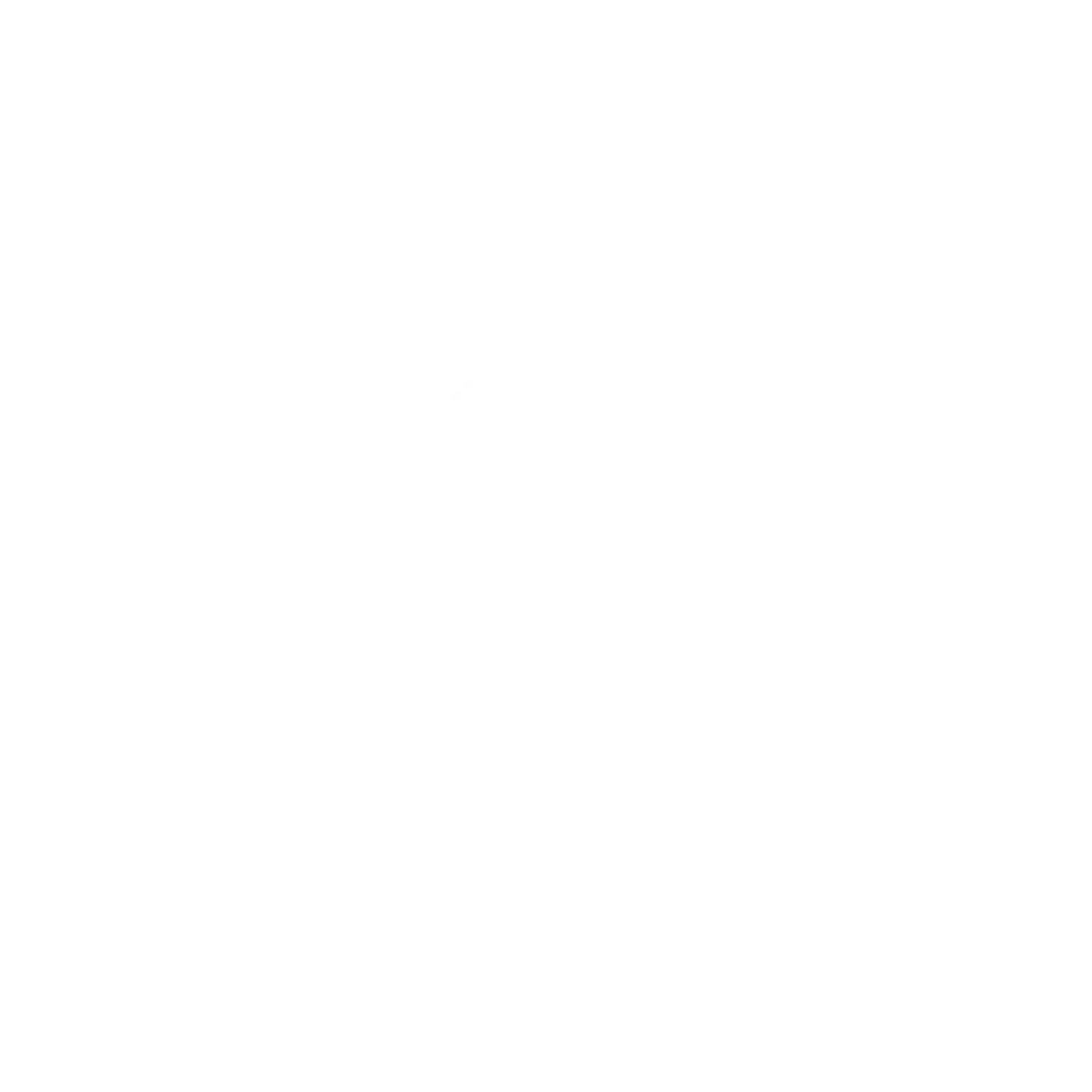 Google partner
