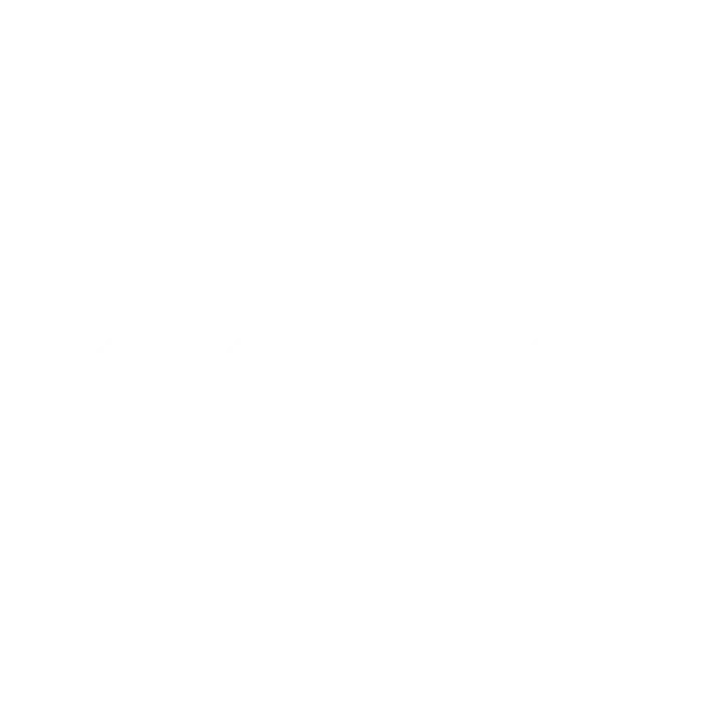 Klarna partner