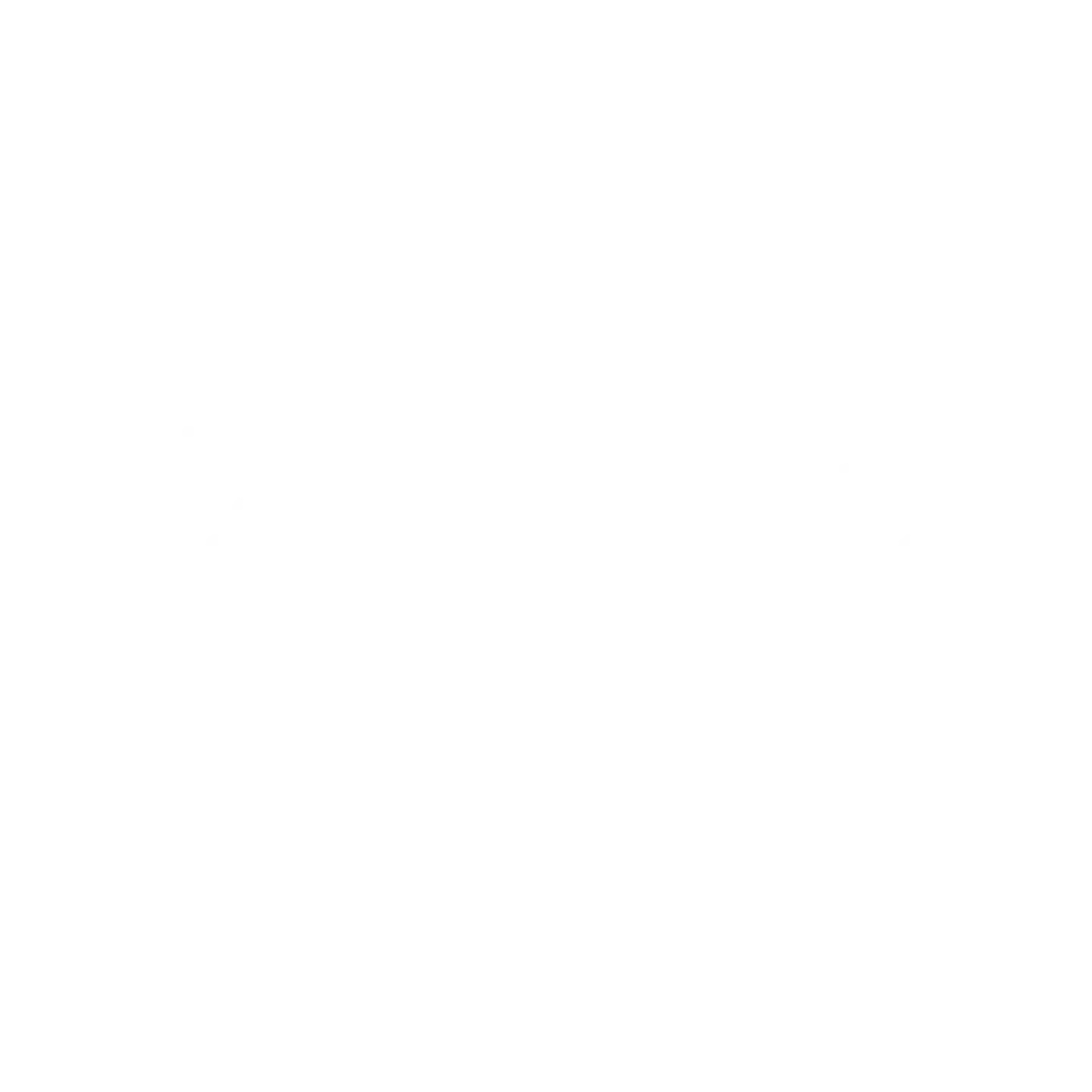 Meta Business partner