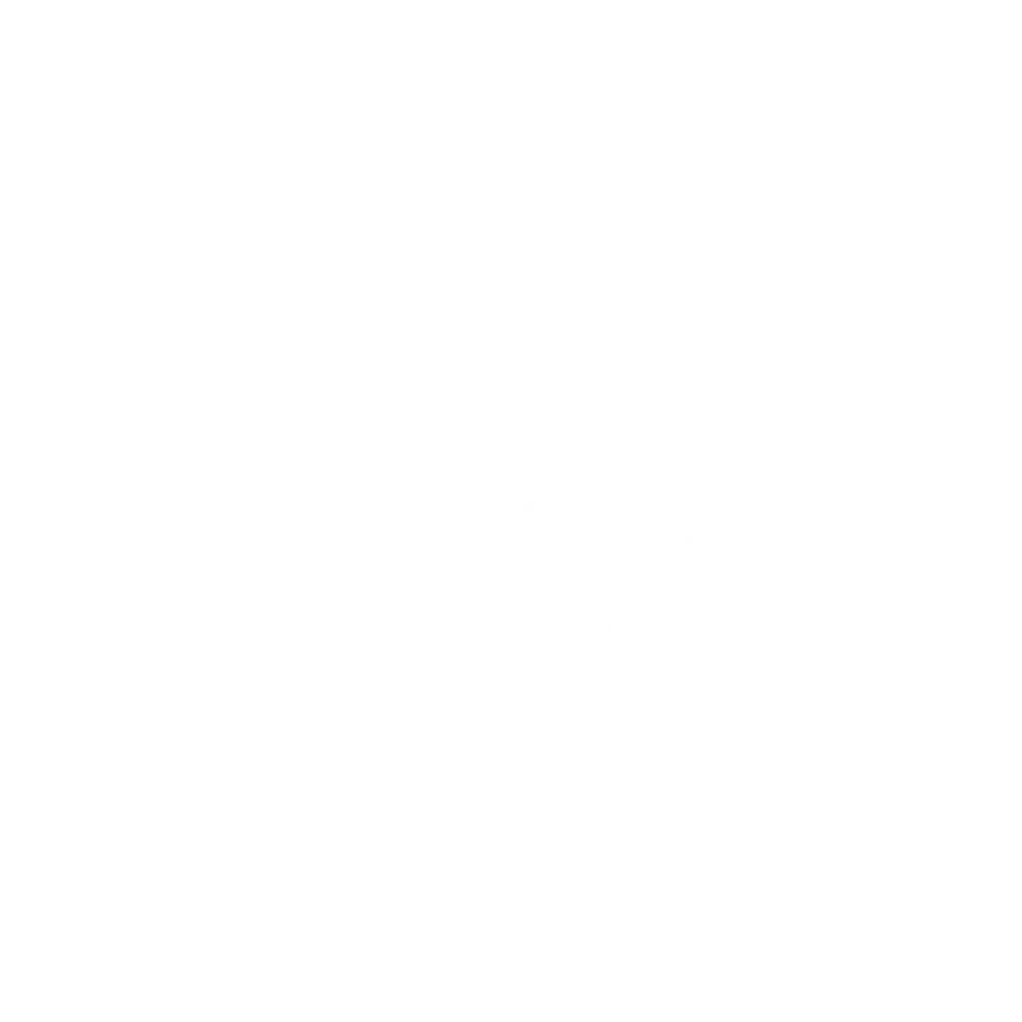 Shopify partner