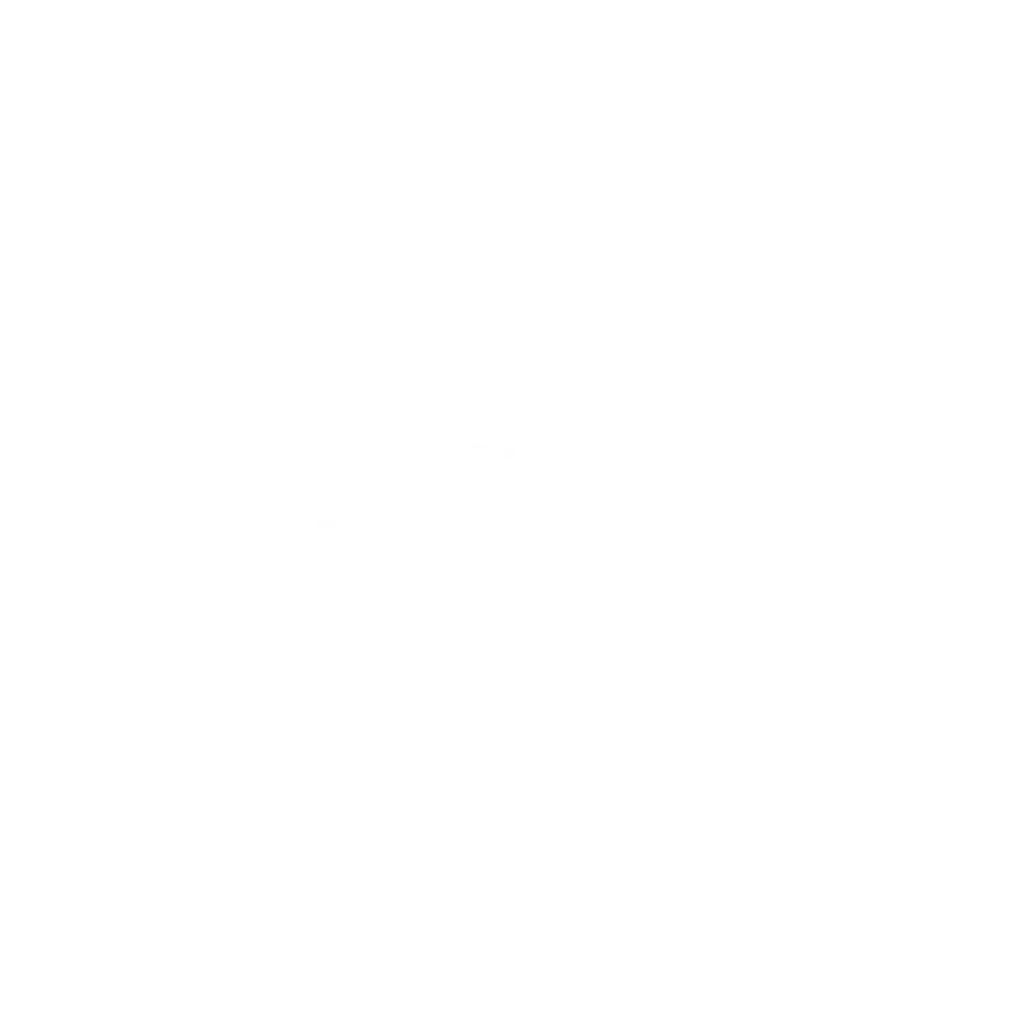 Adobe partner