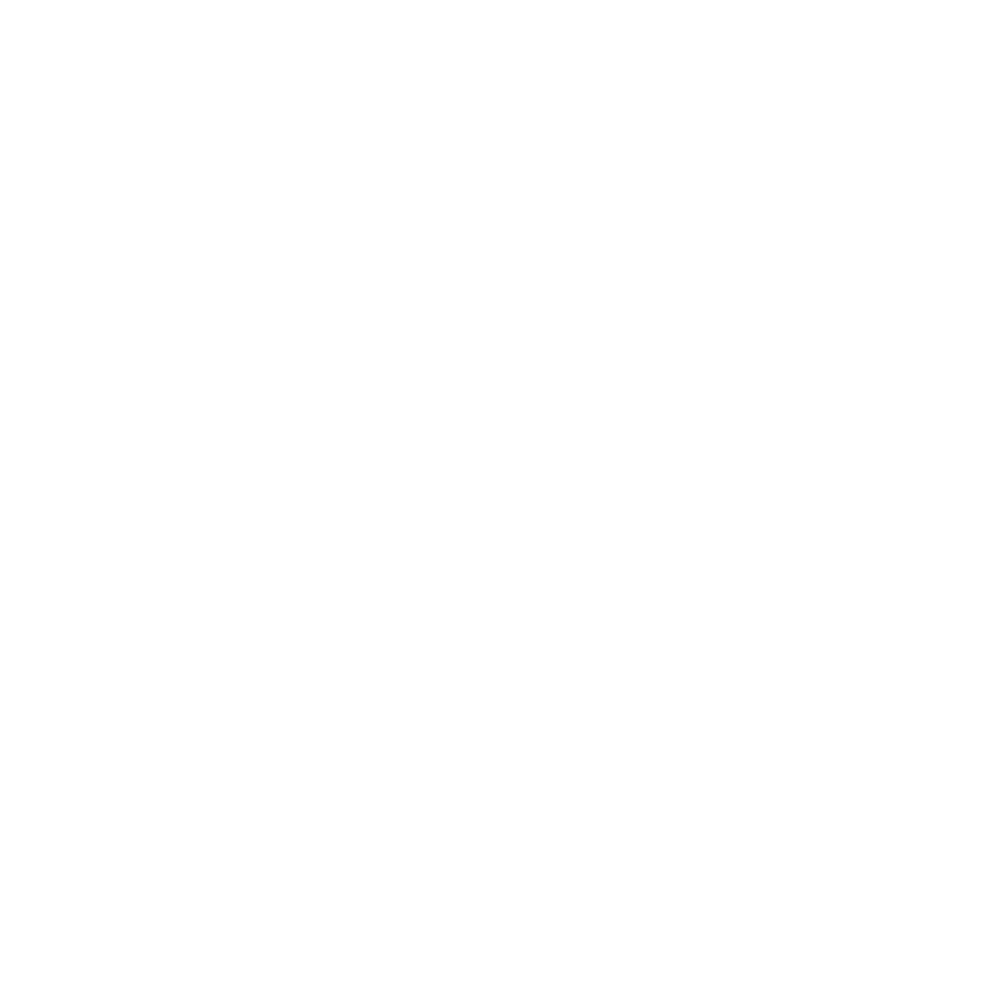 Klaviyo partner