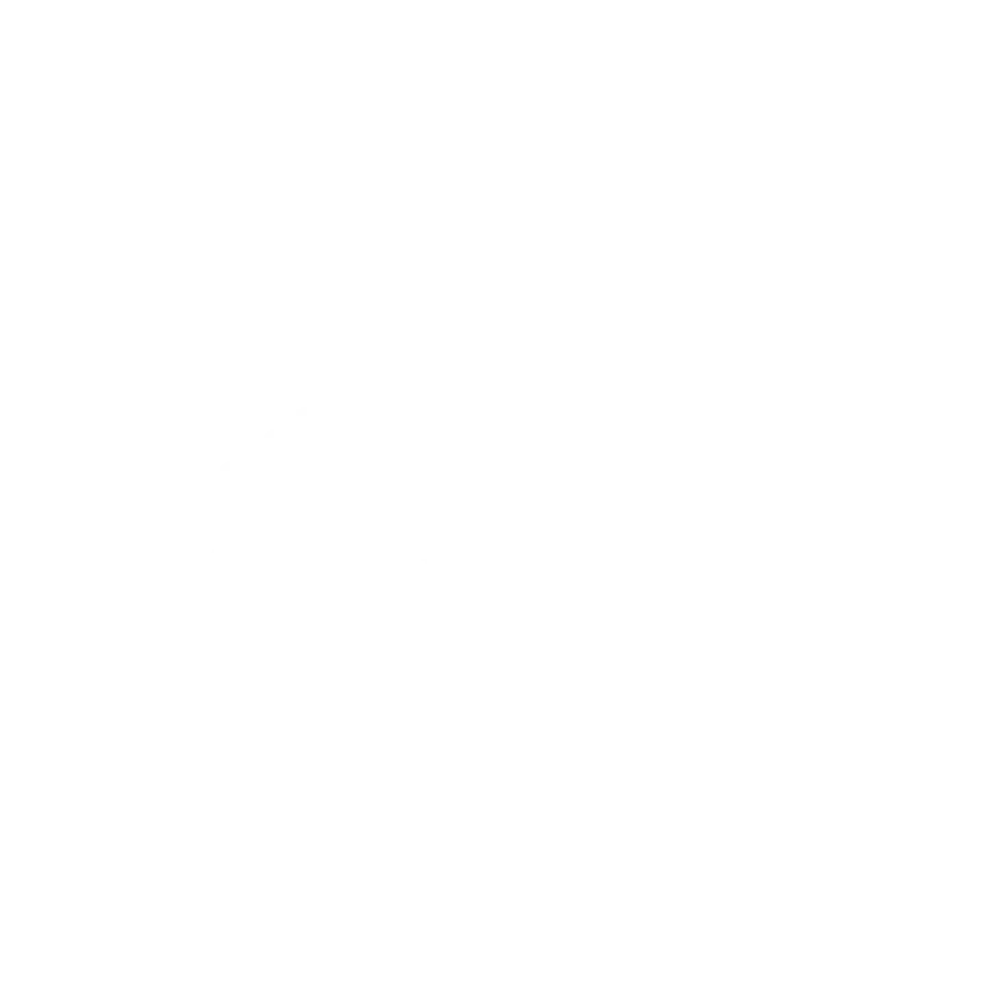 BigCommerce partner