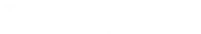 Shopify Partner
