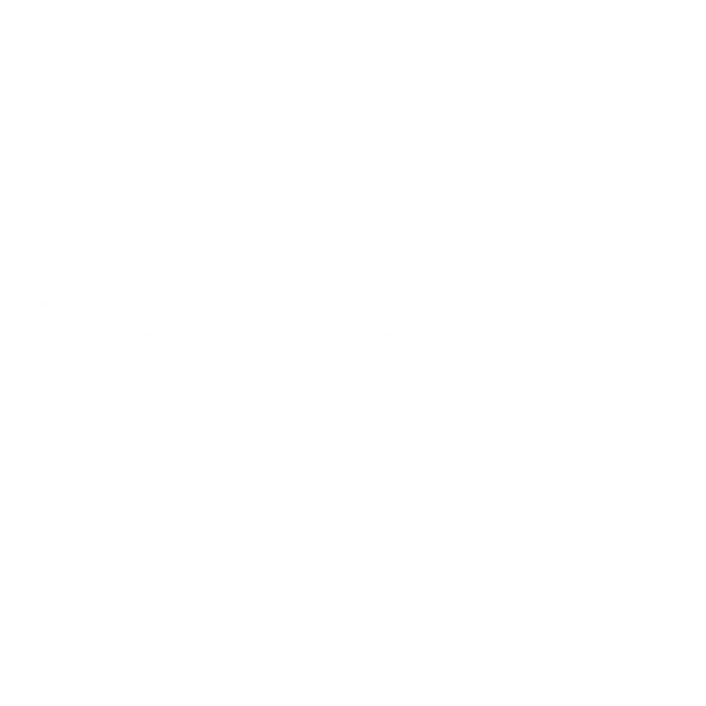 Google Ads partner