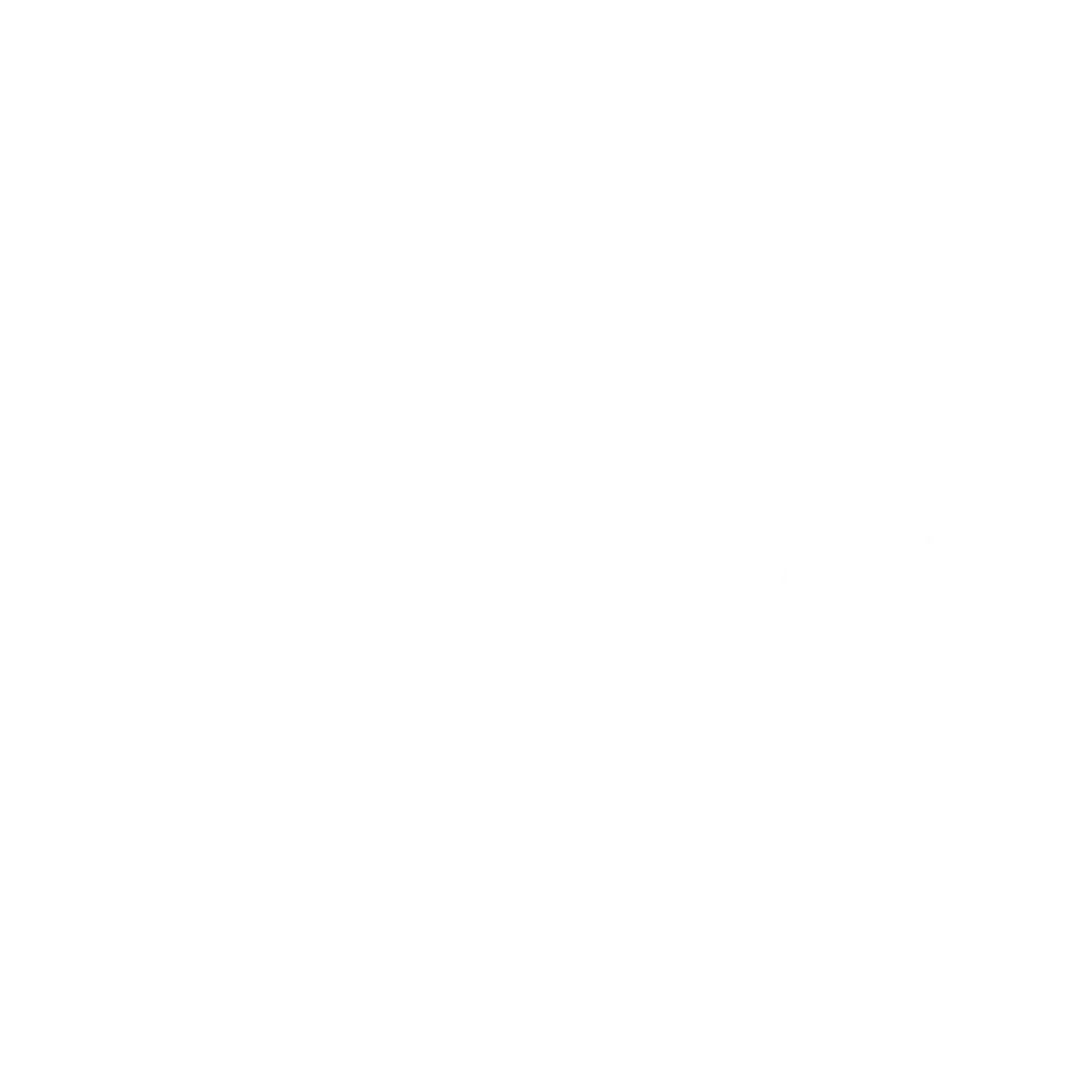 Shopify partner