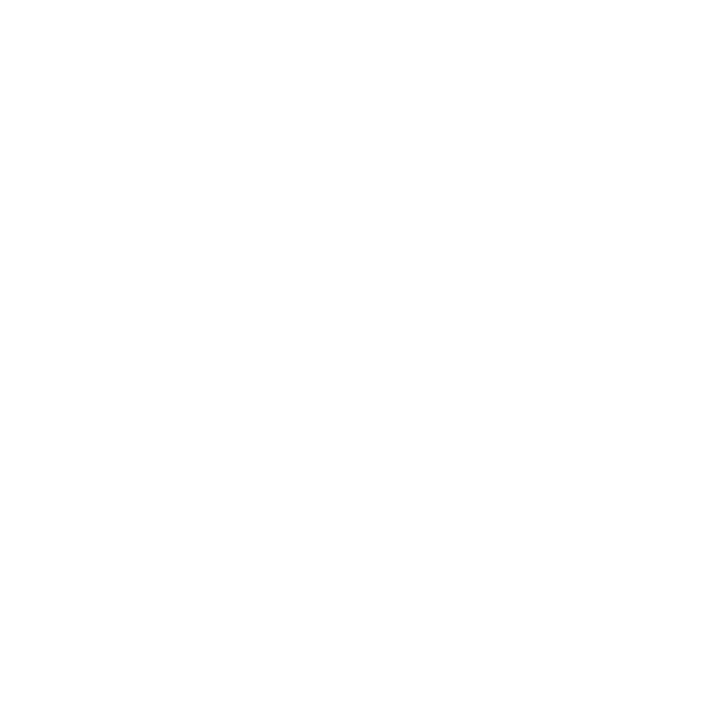 Klaviyo partner