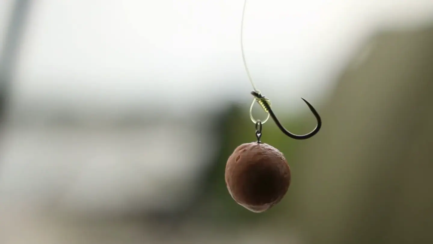 A hookbait on a carp rig, from KUMU's film Golden Days