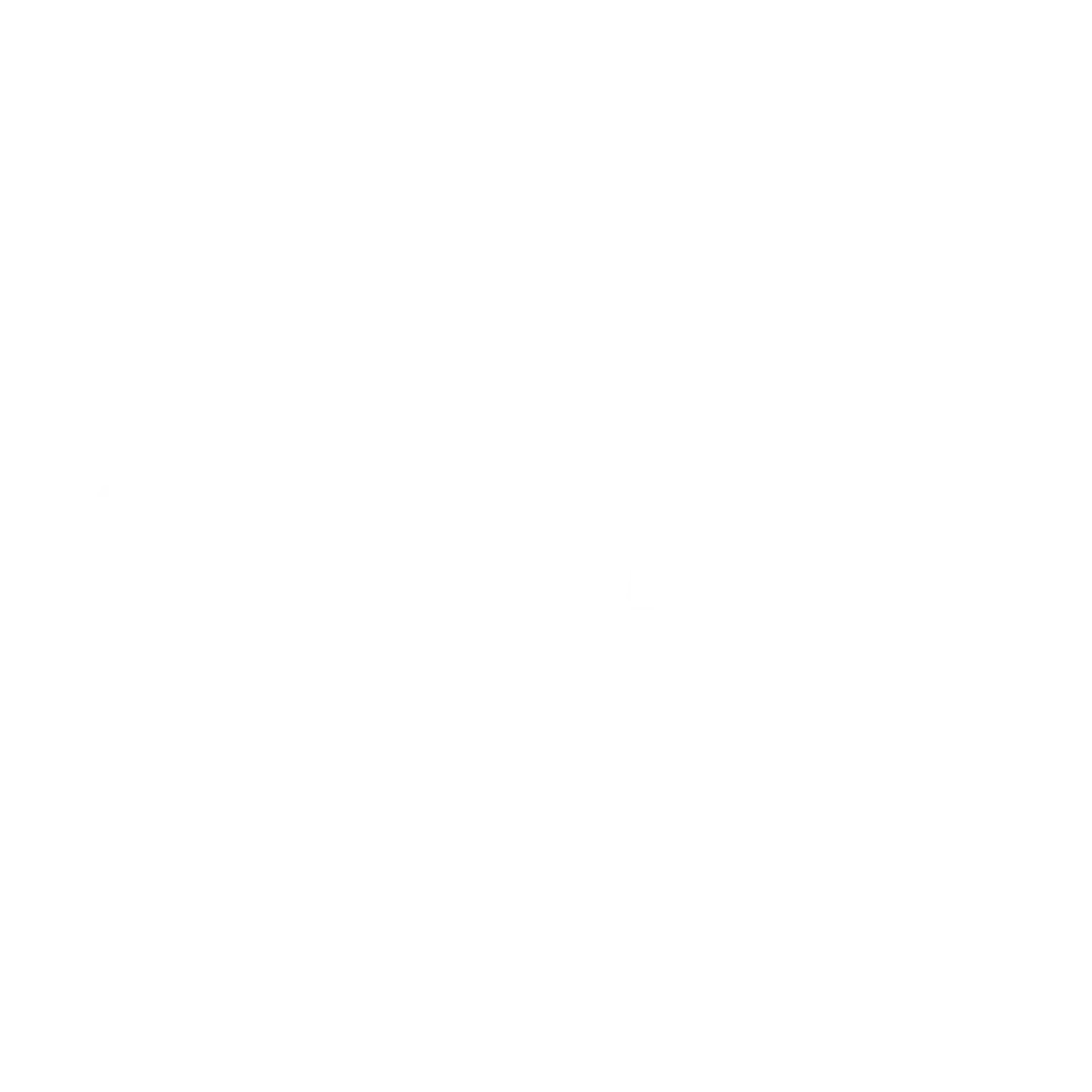 Shopify Plus partner