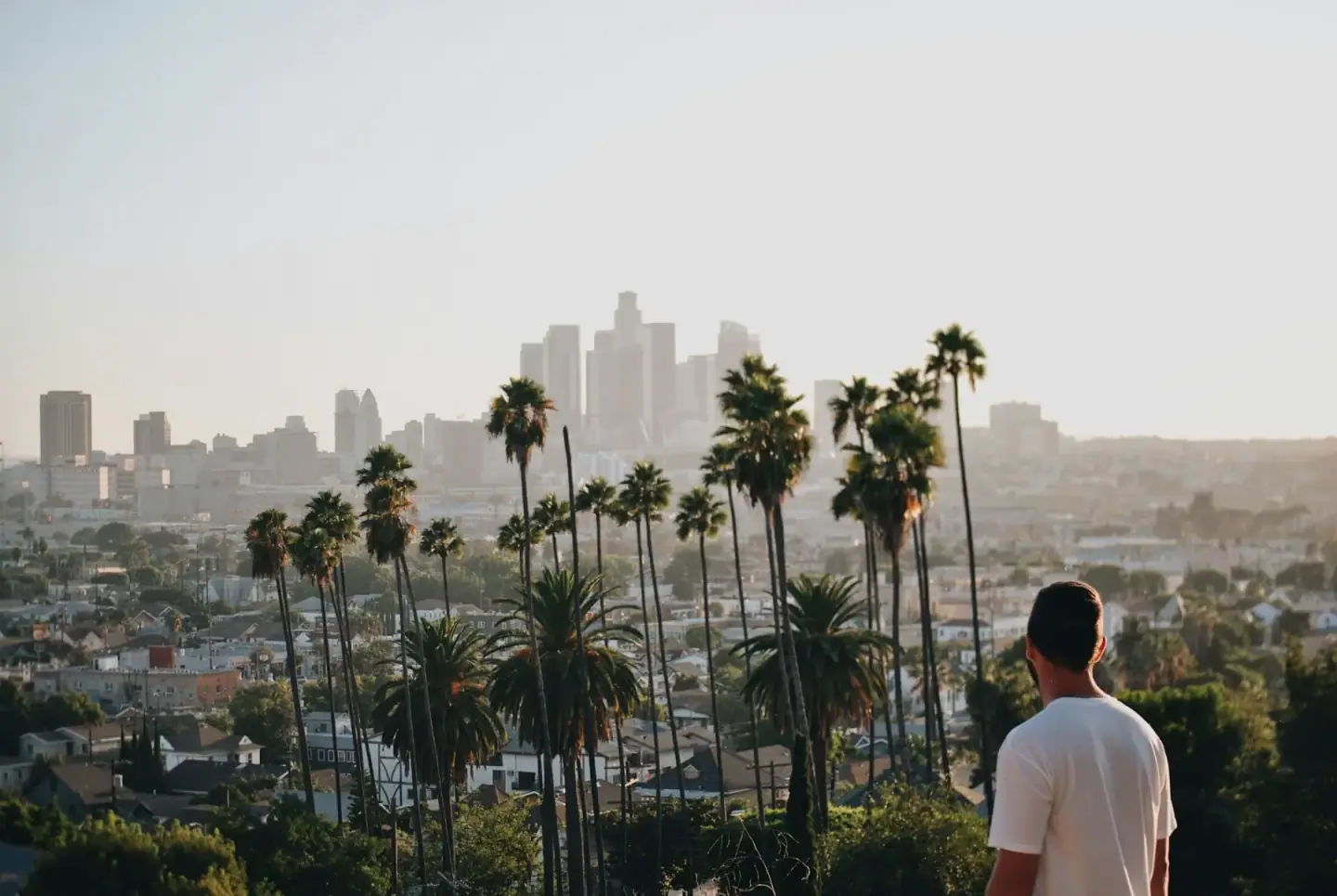 A man with short dark hair wearing a white shirt standing on a hill overlooking a city skyline with tall buildings and palm trees, during sunset.